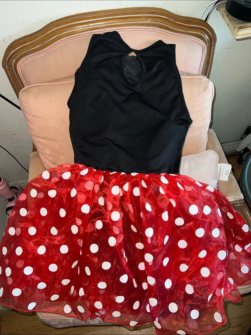 Disney Black Velvet Bodice with Red Polka Dot Tutu Dress